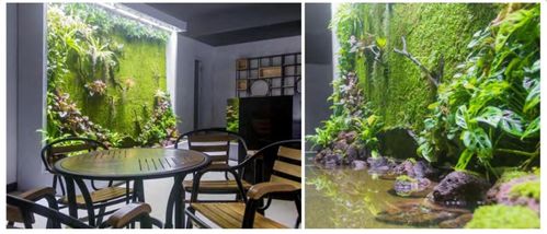 創意農業研究團隊