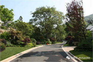 綠城別墅項目景觀設計手法探析