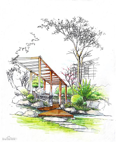 景觀植物單體在景觀設(shè)計(jì)中的角色與策略