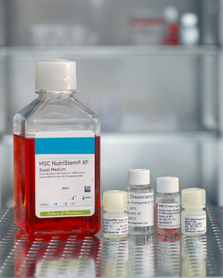 人類間充質(zhì)干細胞促貼壁試劑(無動物源成分),現(xiàn)貨-產(chǎn)品報價-上海通善生物科技